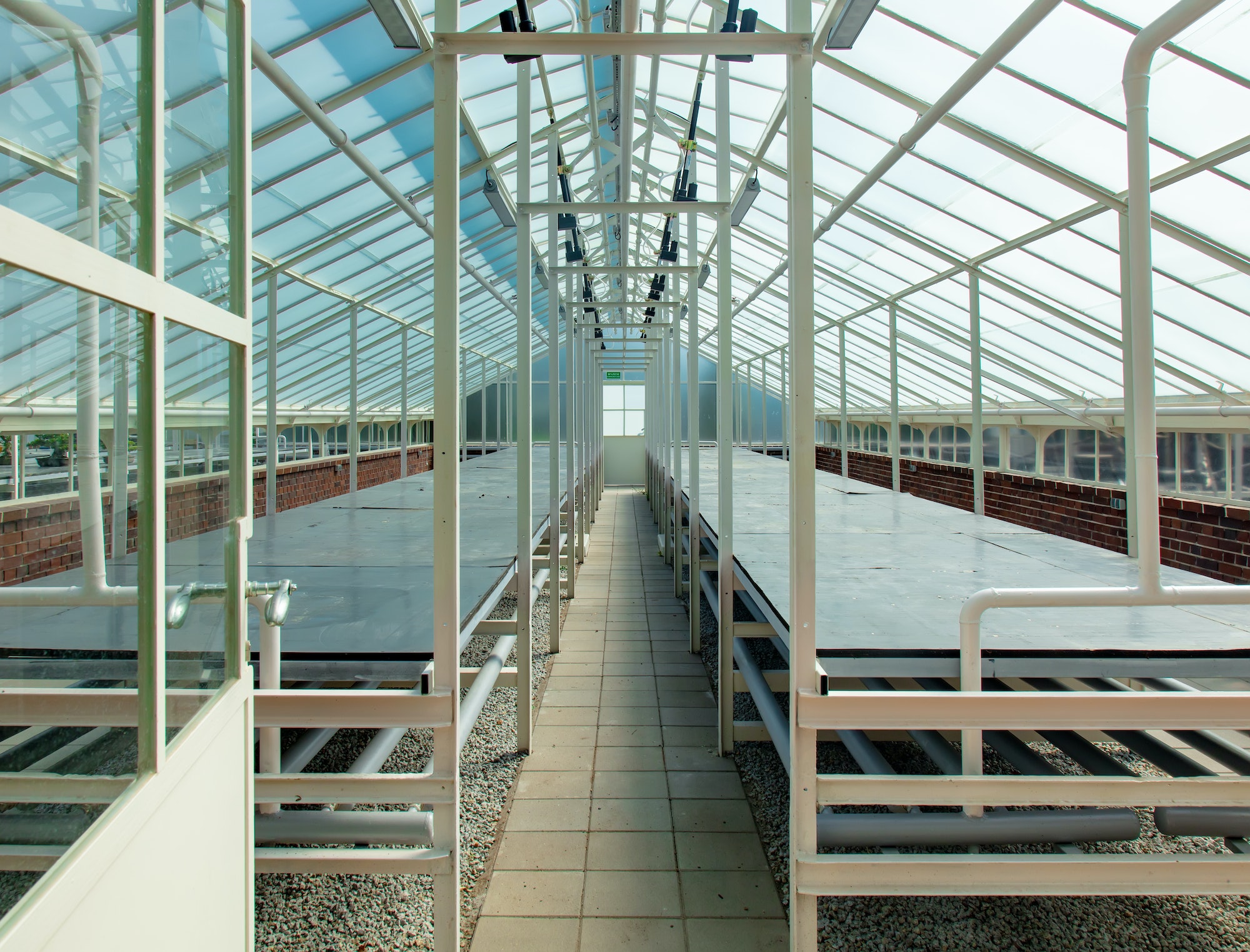 View on empty tables in a greenhouse